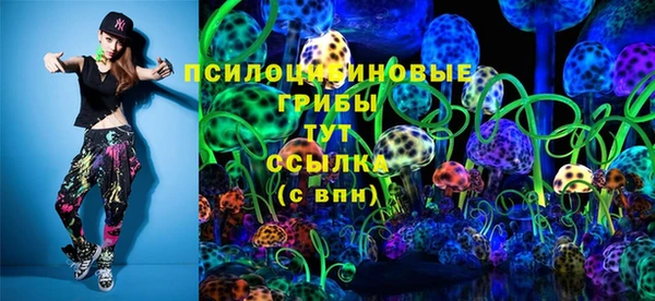 ПСИЛОЦИБИНОВЫЕ ГРИБЫ Надым