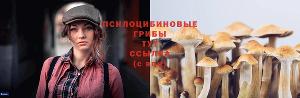 ПСИЛОЦИБИНОВЫЕ ГРИБЫ Надым