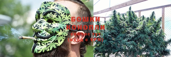 каннабис Михайловка
