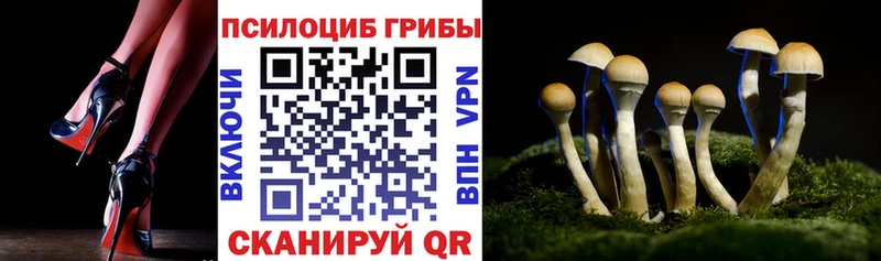 даркнет сайт  мега   Псилоцибиновые грибы Psilocybe  Лихославль 
